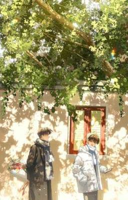 Taekook memmem 