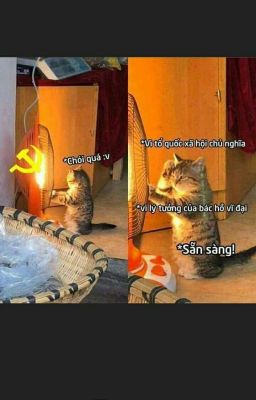 tập vẽ