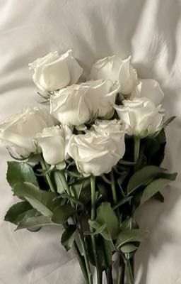 tbtn • một đời