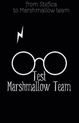 Test for Marshmallow Team