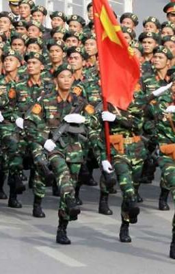 Tiểu đội 7