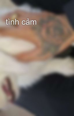 tình cảm