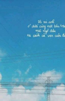 tình đầu