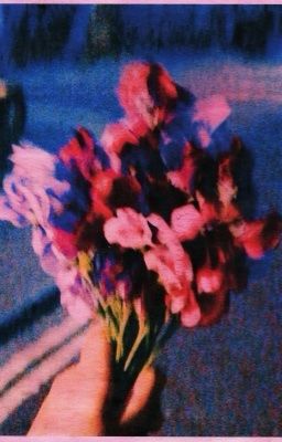 TonBin || Bloom