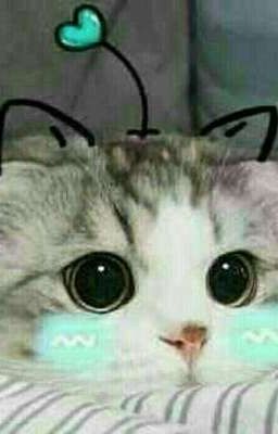 TRẢ TEST