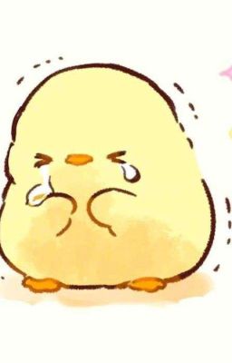Tuyệt đối