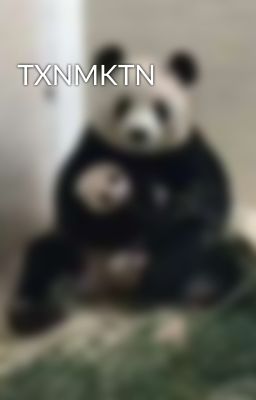 TXNMKTN