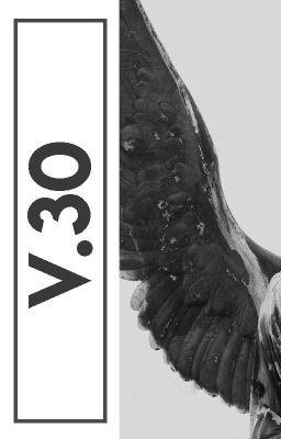 V.30
