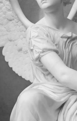 [VIPEUS] ANGEL