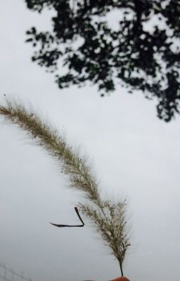 weather