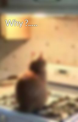 Why ?.....