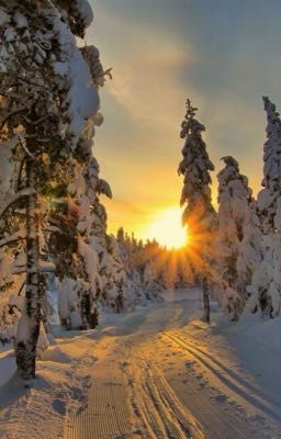 Winter's lover