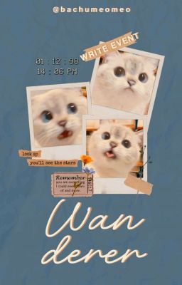 WRITE EVENT | WANDERER