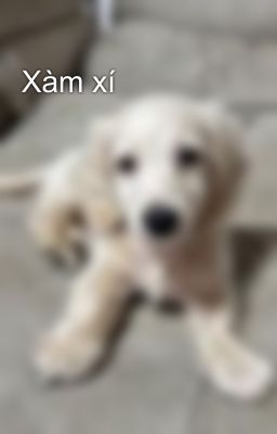 Xàm xí 