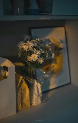 [XI] Until Dawn