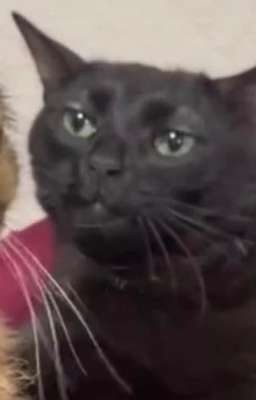 Xóm Ma